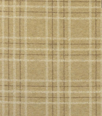 New Living Carpet - Brintons
