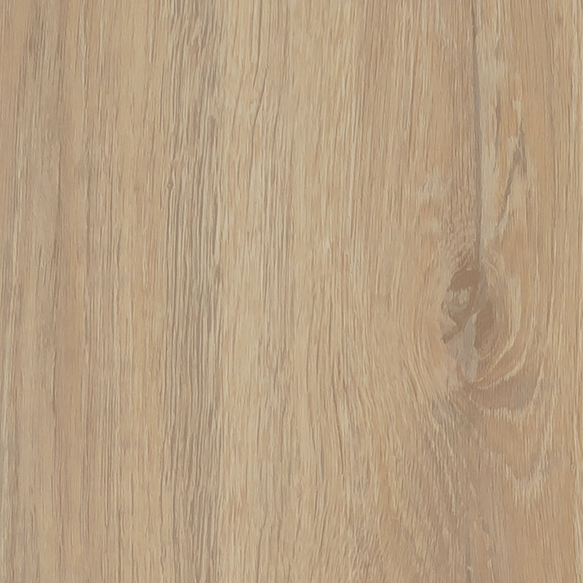 Conceptline LVT Flooring