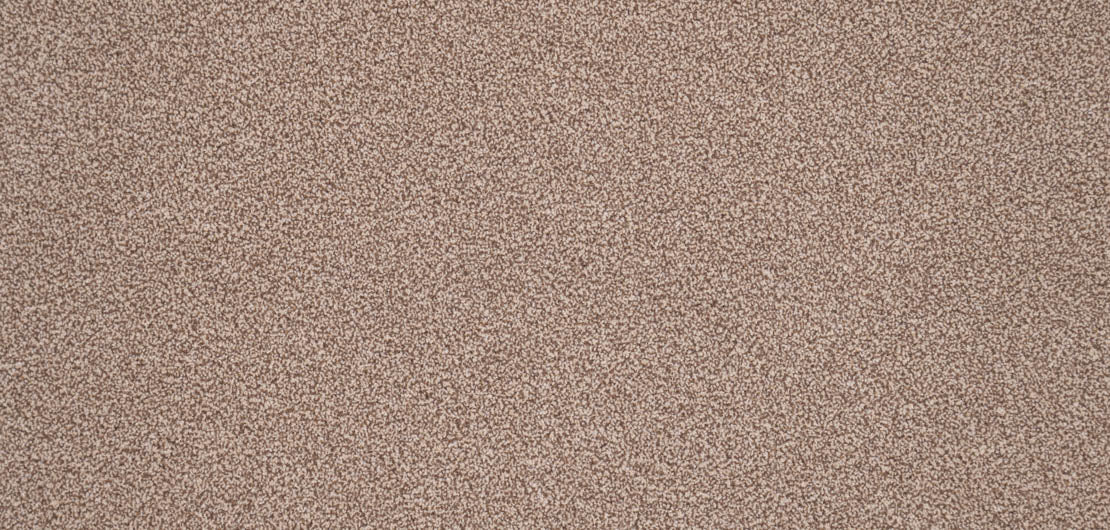 Elegance Carpet