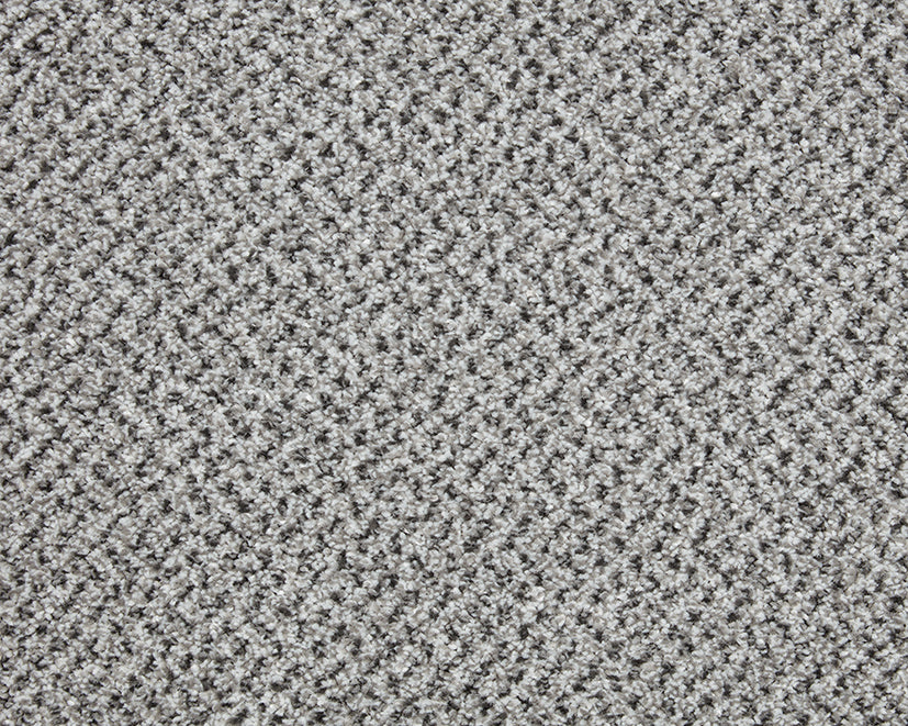 Easy Living Tweeds Carpet