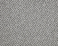Easy Living Tweeds Carpet