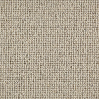 Bologna Carpet