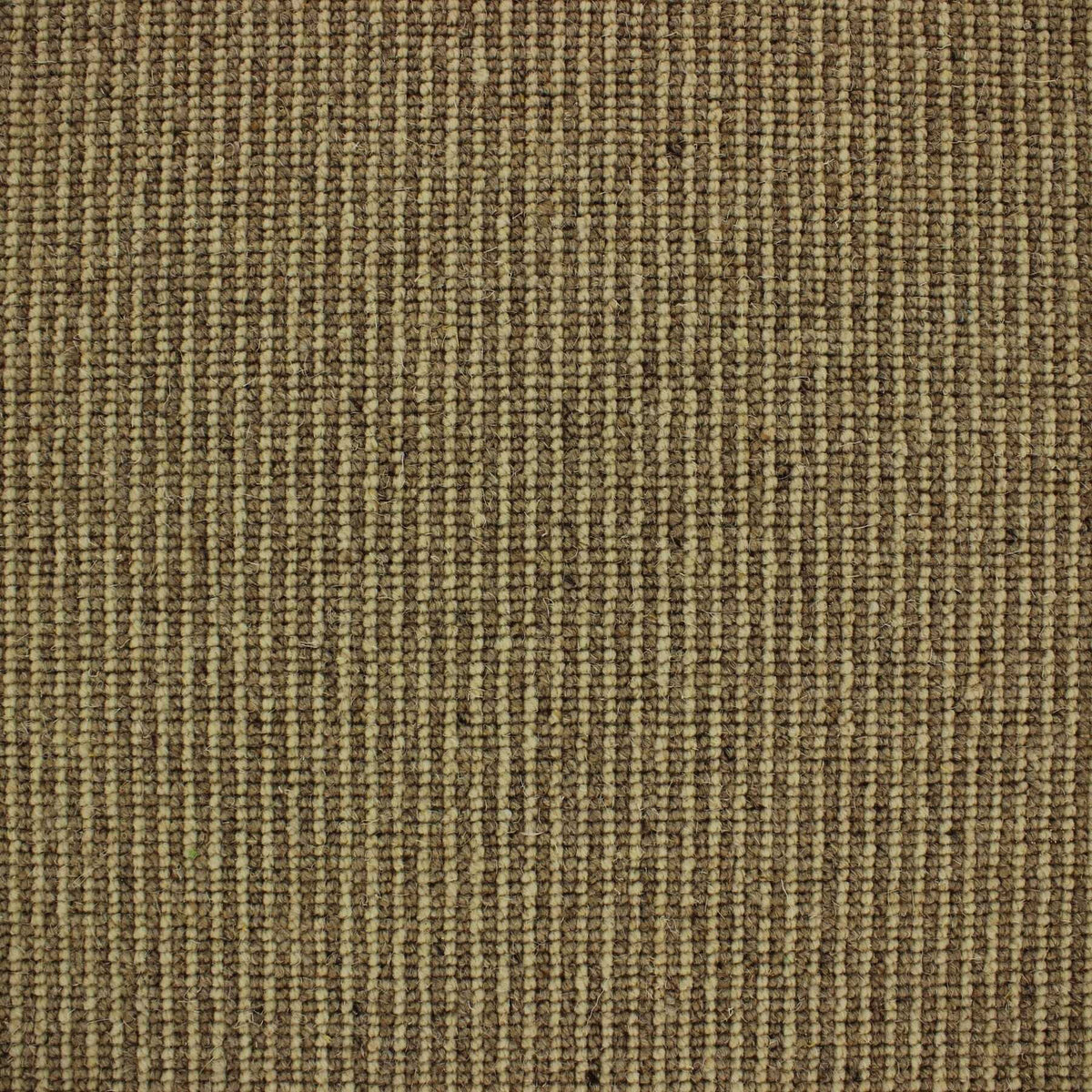 Livorno Carpet
