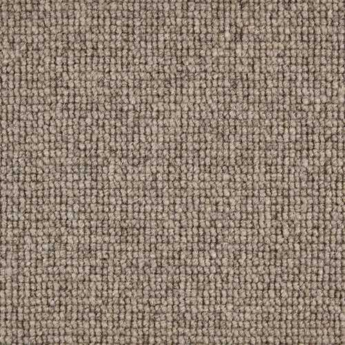 Bologna Carpet