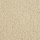 Fistral Carpet