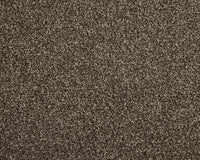 Easy Living Choice 34oz Carpet