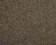 Easy Living Choice 34oz Carpet