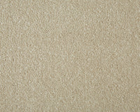 Easy Living Plus Carpet