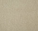 Easy Living Plus Carpet