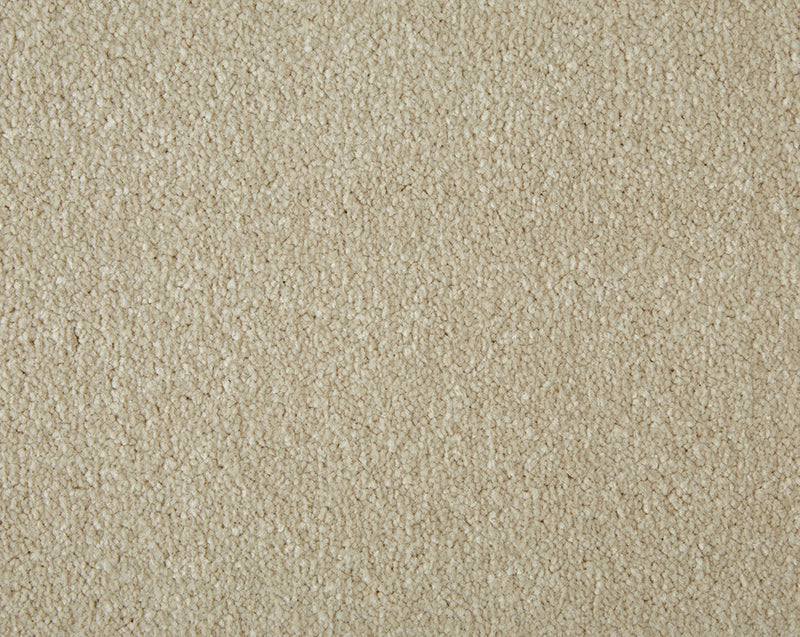 Easy Living Plus Carpet
