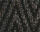 Primavera Chevron