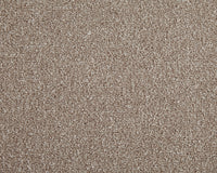Easy Living Choice 34oz Carpet