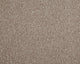 Easy Living Choice 34oz Carpet
