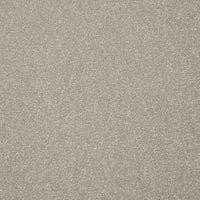 Easy Living Plus Carpet