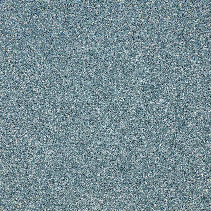 Easy Living Plus Carpet