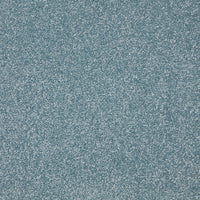Easy Living Plus Carpet