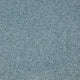 Easy Living Plus Carpet
