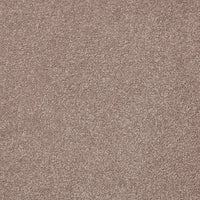 Easy Living Plus Carpet