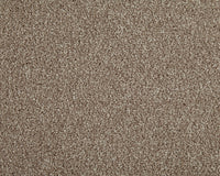 Easy Living Choice 34oz Carpet