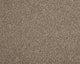 Easy Living Choice 34oz Carpet