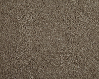 Easy Living Choice 34oz Carpet