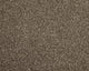 Easy Living Choice 34oz Carpet