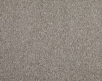 Easy Living Choice 34oz Carpet