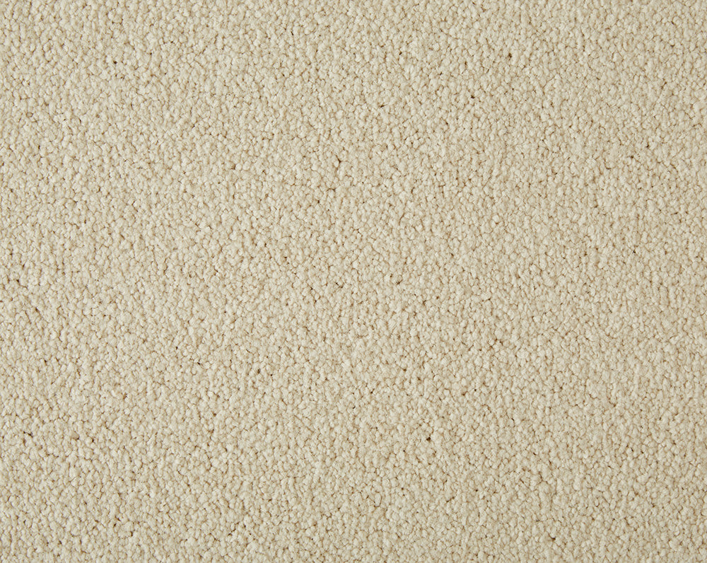 Easy Living Plus Carpet