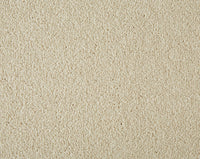 Easy Living Plus Carpet