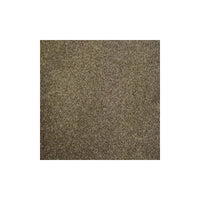 Harmony Carpet