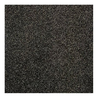 Harmony Carpet