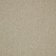 Brampton Carpet