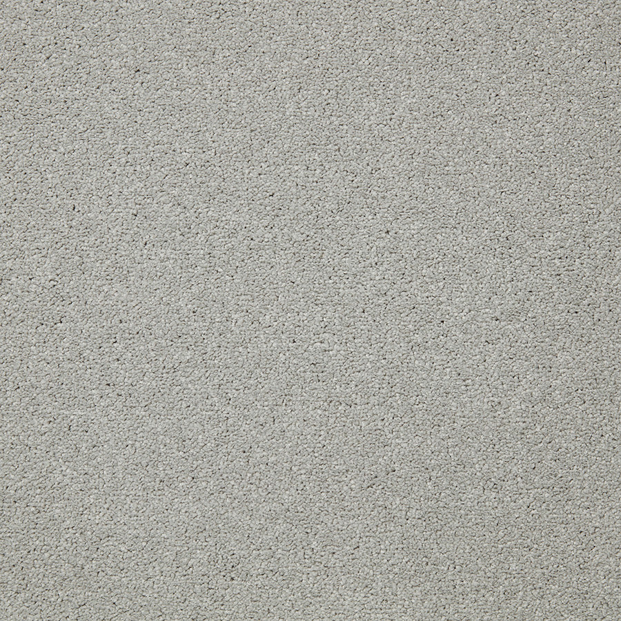 Easy Living Plus Carpet