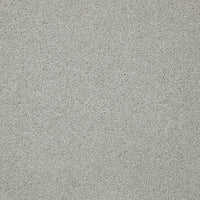 Easy Living Plus Carpet