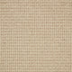 Brampton Carpet