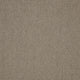 Brampton Carpet