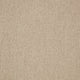 Brampton Carpet