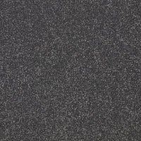 Easy Living Plus Carpet