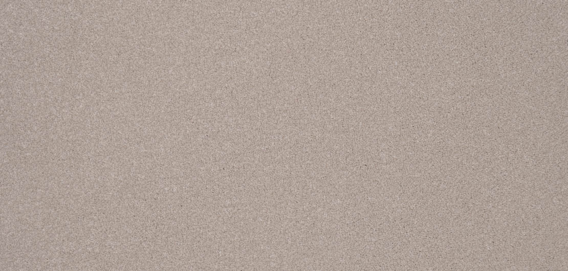 Elegance Carpet