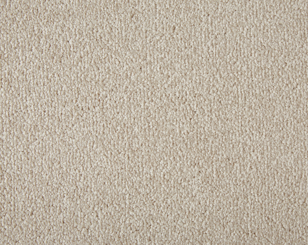 Easy Living Plus Carpet