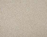 Easy Living Plus Carpet