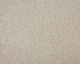 Easy Living Plus Carpet