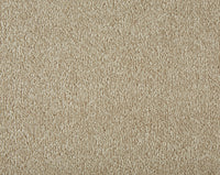 Easy Living Plus Carpet