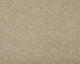 Easy Living Plus Carpet