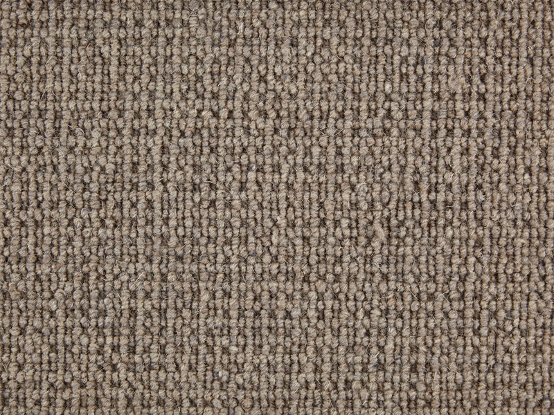 Verona Carpet