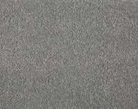 Easy Living Plus Carpet