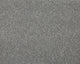 Easy Living Plus Carpet
