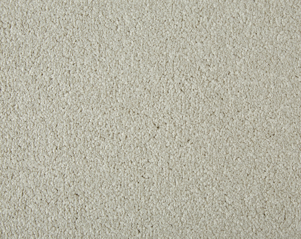 Easy Living Plus Carpet
