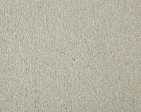 Easy Living Plus Carpet