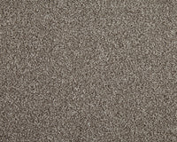 Easy Living Choice 34oz Carpet
